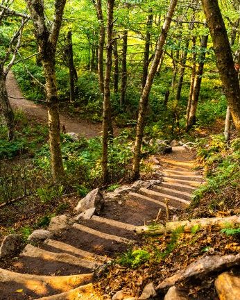 A7304520 e1762268106445