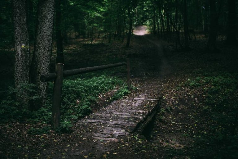 Rédigez en pleine conscience en nature