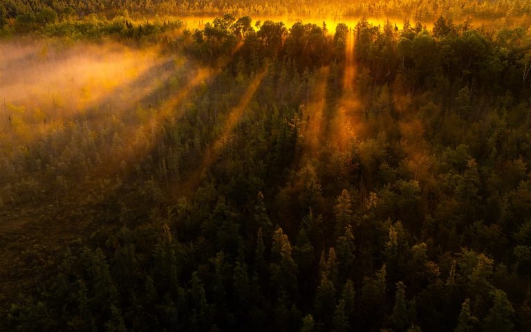 3 nouvelles aires protégées : près de 120 hectares de biodiversité !