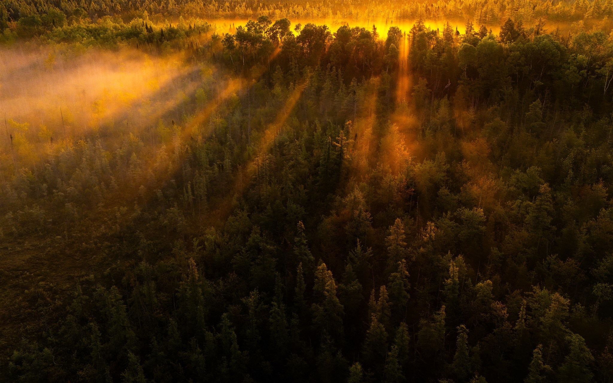 DJI 20250603053531 0338 D Enhanced NR